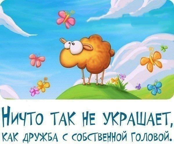 Самая лучшая дружба это дружба с собственной головой дружите не стесняйтесь картинки