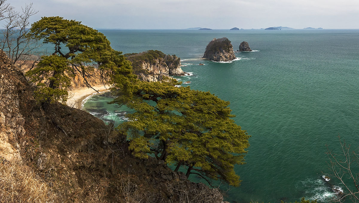 Картинка дальневосточный морской заповедник