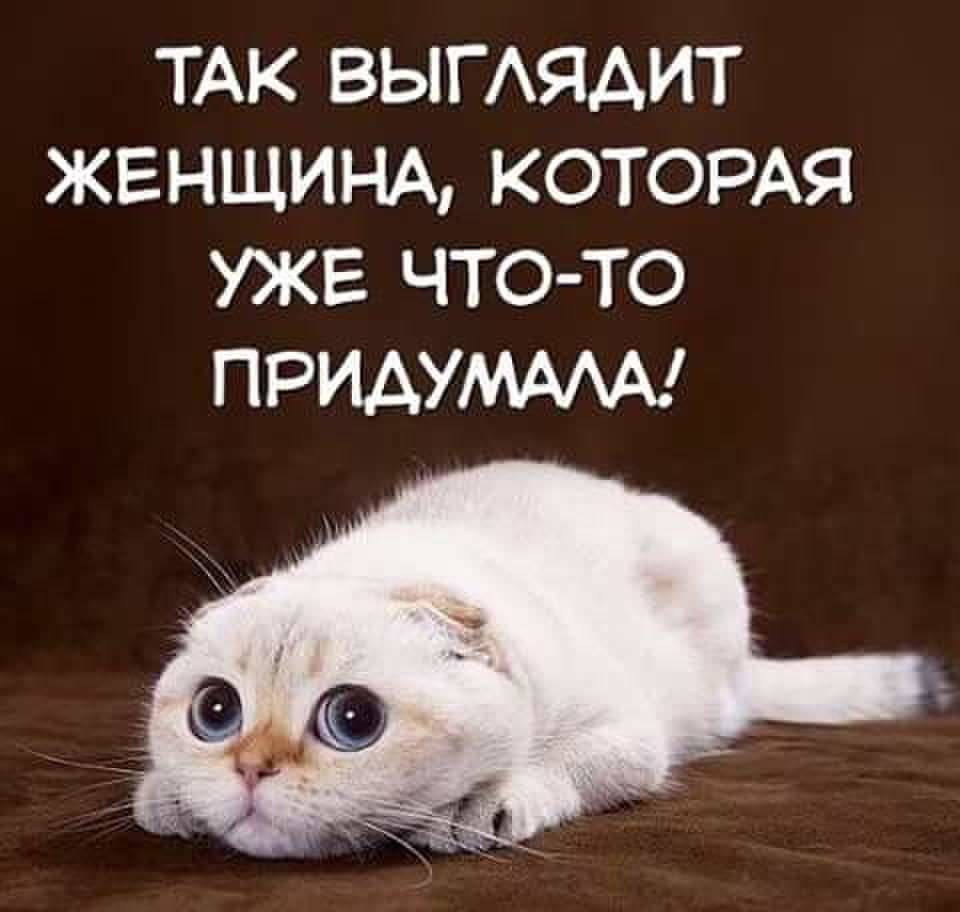 Так выглядит женщина которая уже что то придумала картинки