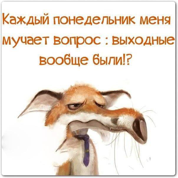 https://filapp1.imgsmail.ru/pic?url=https%3A%2F%2Fpp.userapi.com%2Fc830401%2Fv830401616%2F91486%2FpEYEf-Kd_bo.jpg&amp;sig=10f54c7cae3ffe988b5f5c72d5ee55cd