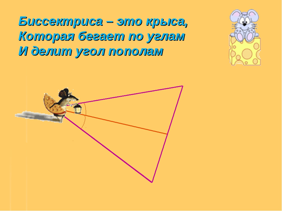 Биссектриса угла рисунок