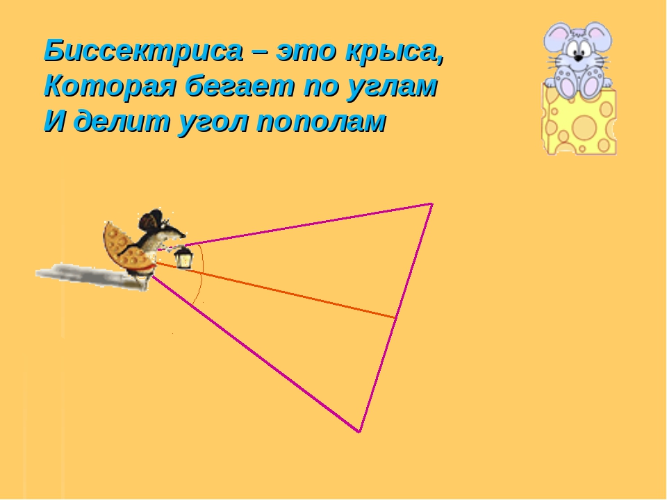 Прямой угол пополам. Бегает по углам и делит угол пополам. Стишок про биссектрису. Биссектриса это крыса. Крыса делит угол пополам.