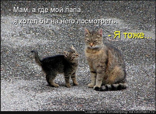 Смешные картинки индульгенция. Пора подумать о карьере. Да ты успокойся я сто раз. Да ты успокойся. Так он уже взрослый.