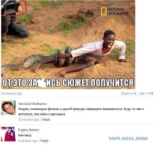 Смешные мемы про негров