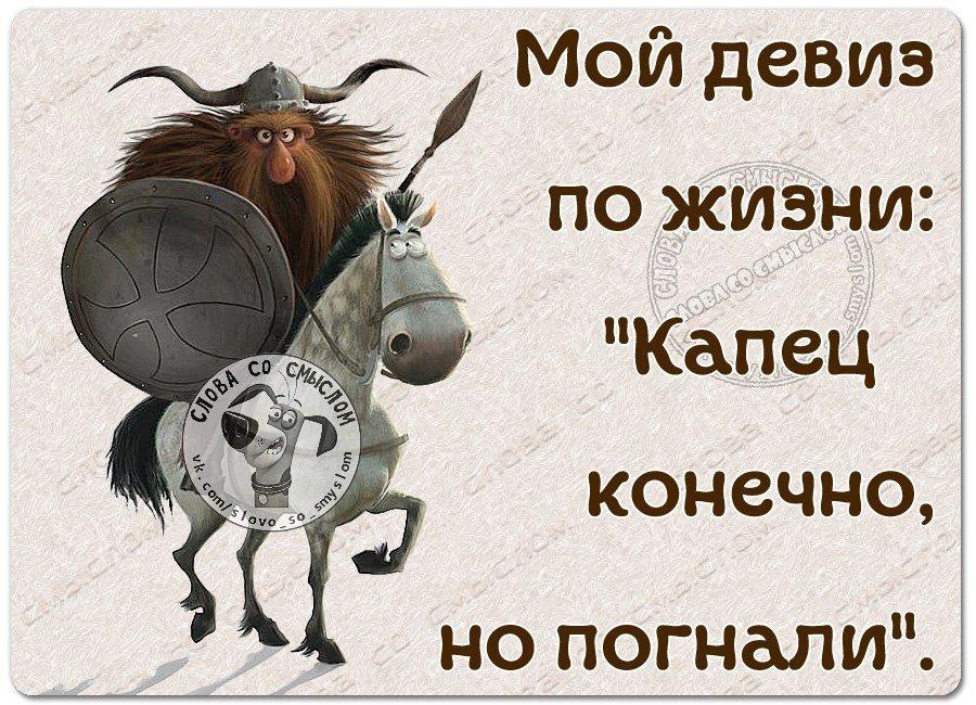 Конечно 40. Девиз по жизни. Жизненный девиз. Смешной девиз по жизни. Слоган по жизни.