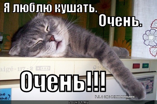 Ekaterinaxiii. Мем. Ты кушаешь что ли. Кушай кушай мем. Мотылек прикол.