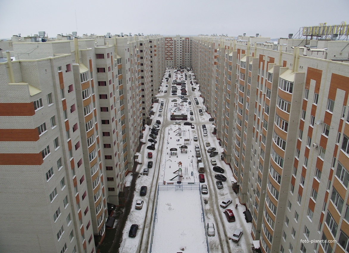 дом муравейник в санкт петербурге