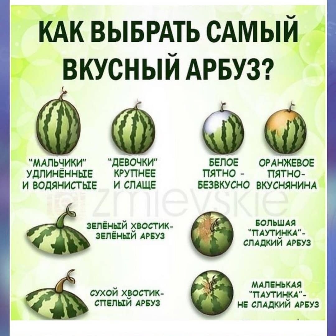 Как правильно выбрать арбуз. Как выбрать арбуз. Арбуз спелый и сладкий. Хороший арбуз. Как определить какой арбуз.