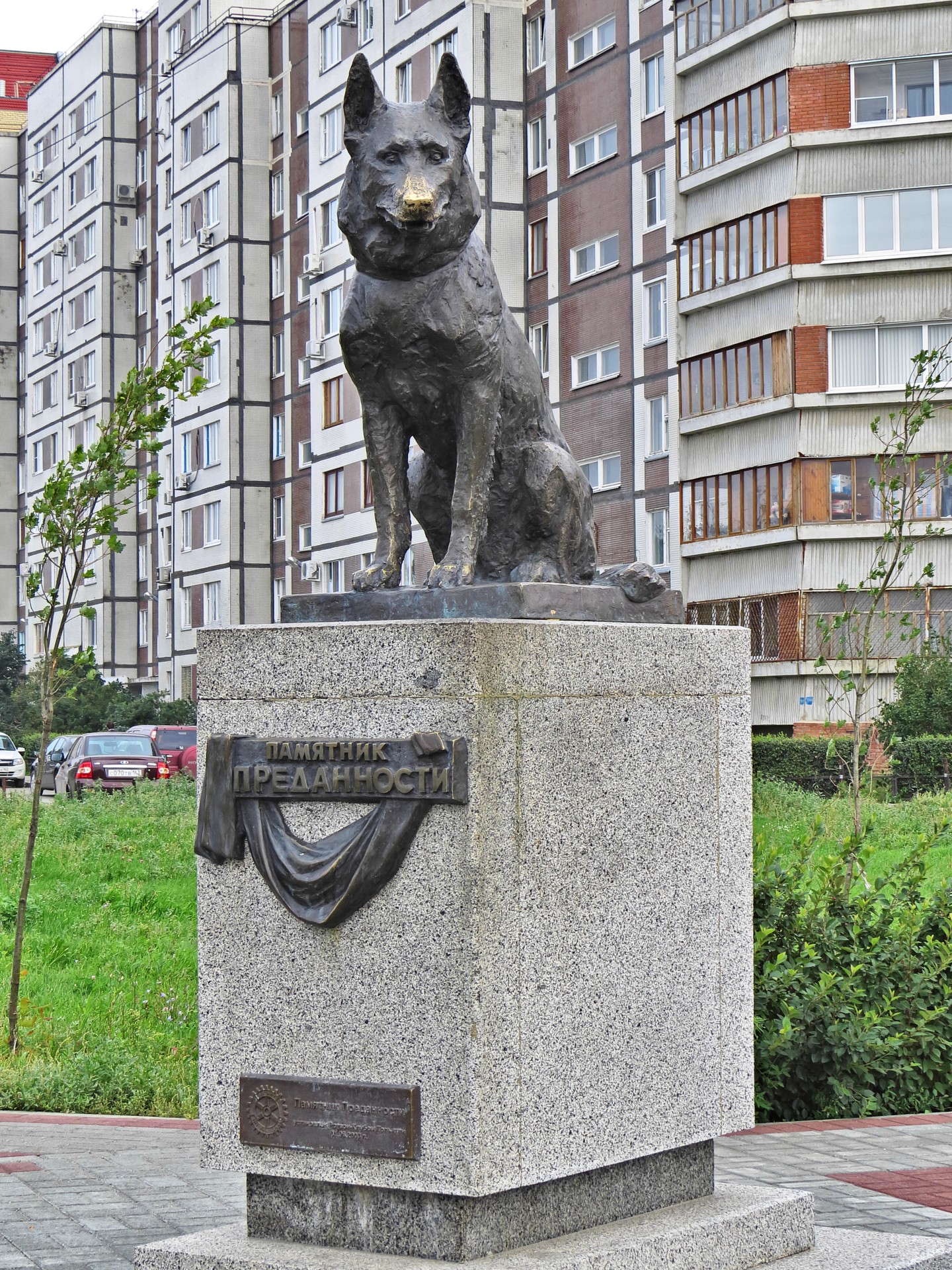 Есть памятник. Памятник верности в Тольятти. Памятник собаке в Тольятти. Памятник преданности Тольятти. Памятник преданности собаке в Тольятти.