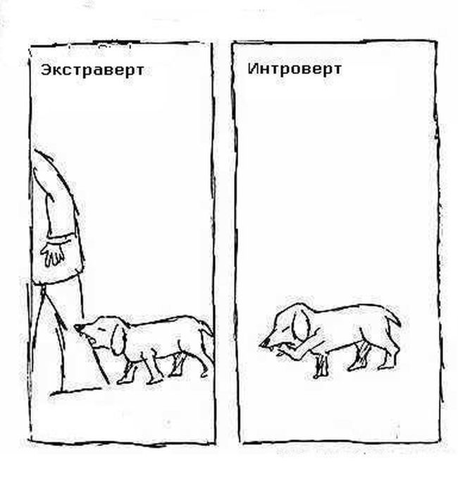 Интроверт и экстраверт. Типы характера человека психология меланхолик сангвиник. Мизантропия признаки. Типы личности экстраверт интроверт амбиверт. Интроверт рисунок.