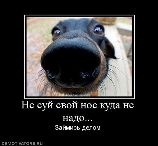 Глупышка забрела куда не следовало