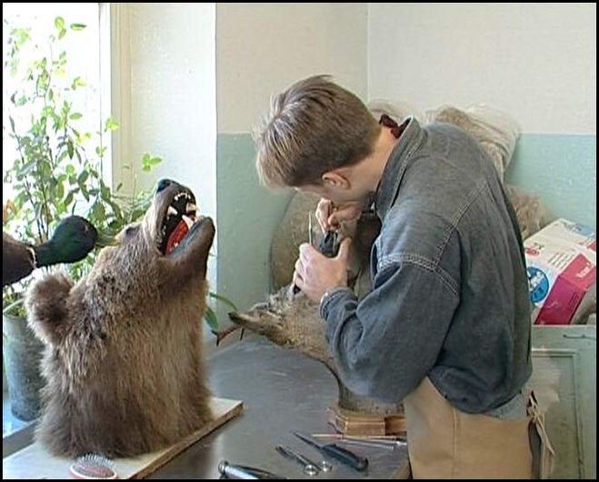 Как называется профессия делать чучела. Как называется профессия делать чучела. Как называется профессия делать чучела. Известные таксидермисты. Таксидермист дуглас херрик.