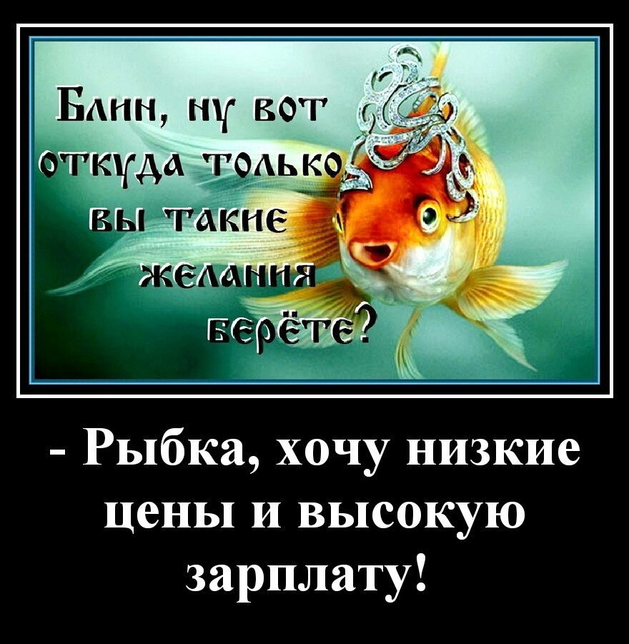 Золотая рыбка юмор