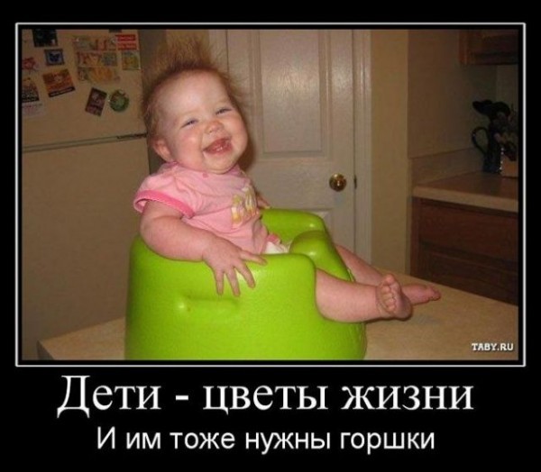 Это жизнь детка картинки