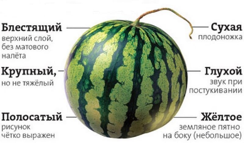 Какой звук у спелого арбуза. Как выбрать Арбуз спелый и сладкий. Как выбрать Арбуз. Как выбрать срелыйарбуз. Как правильно выбрать Арбуз спелый и сладкий.