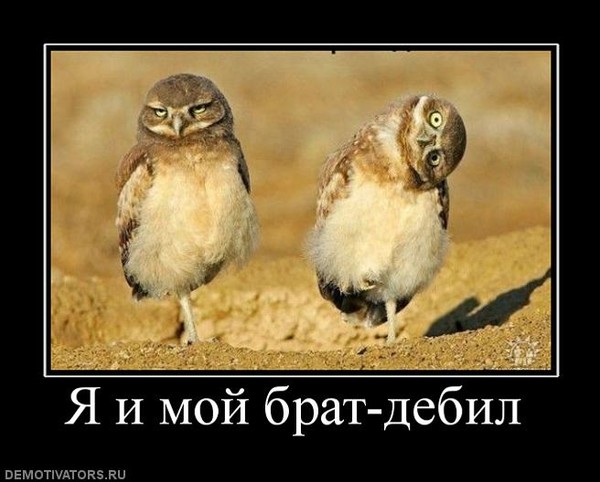 i-124.jpg&sig=6a5947c3a79706dc4cfb822f54