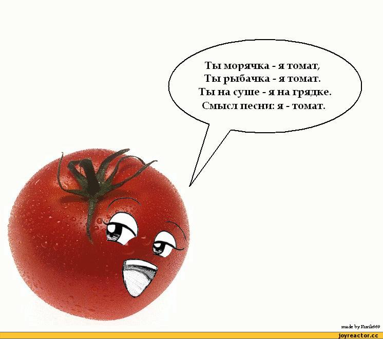 Не люблю и не ем овощи. Смешной помидор. Прикольные томаты. Помидор прикол. Смешные фразы про помидоры.