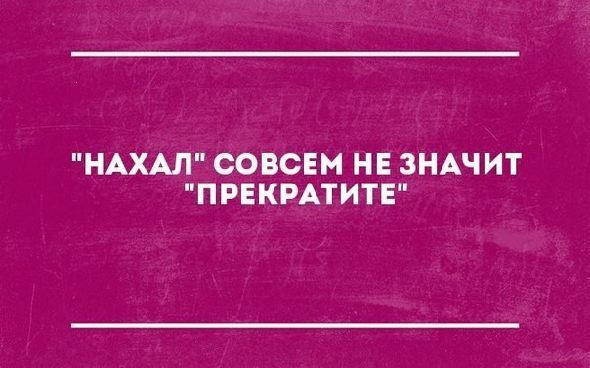 Значит перестань. Нахал совсем не значит прекратите. Нахал прикол. Цитаты о нахалах. Что значит нахал?.