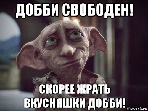 Бывший мой не свободный. Добби свободен. Теперь Добби свободен. Добби свободен Мем. Добби свободен фото.