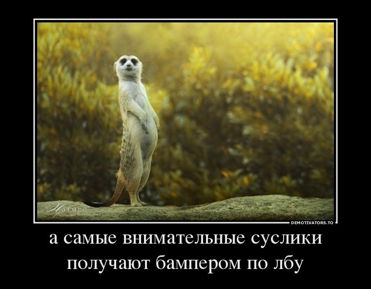 Каждый суслик агроном картинка