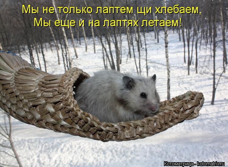 Швейная машина. Без счету одежек и все без застежек. Не шитом деланный. Стежки на швейной машинке. Не шитом деланный.