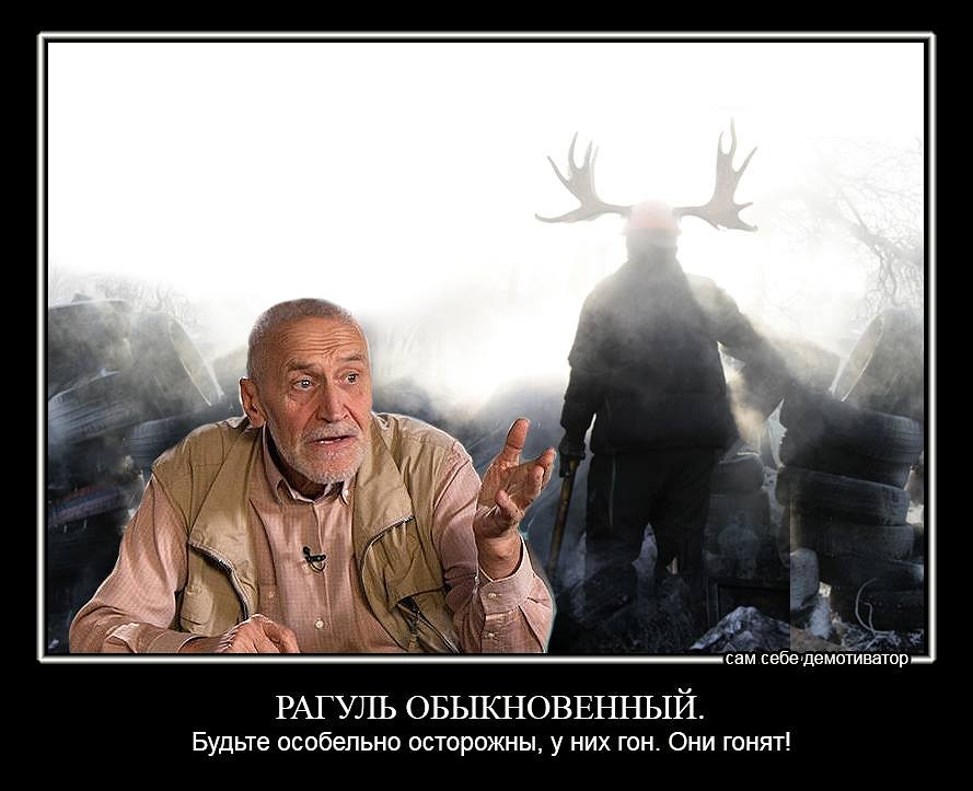 Рагуль это. Рагуль обыкновенный. Демотиваторы рагули.