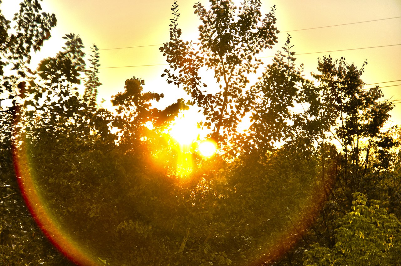 Солнце сходит. Улыбка солнца природа. Солнце светит утром. Блики солнца на земле. Солнце в камеру.