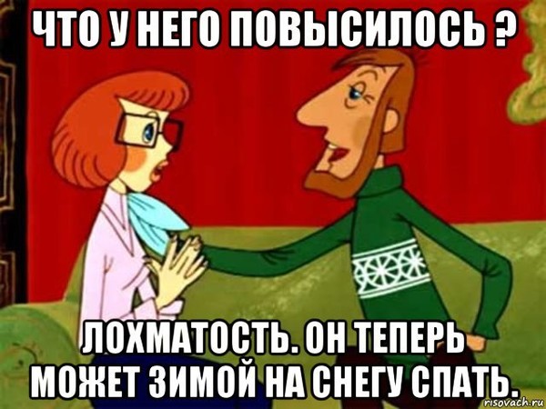 Прикольные картинки когда нечего делать. Кот отжимается. Весёлые высказывания для поднятия настроения. Ой картинки прикольные. Смешные афоризмы.