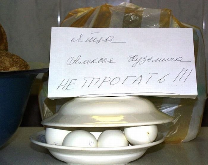 Приколы в картинках с надписями поржать
