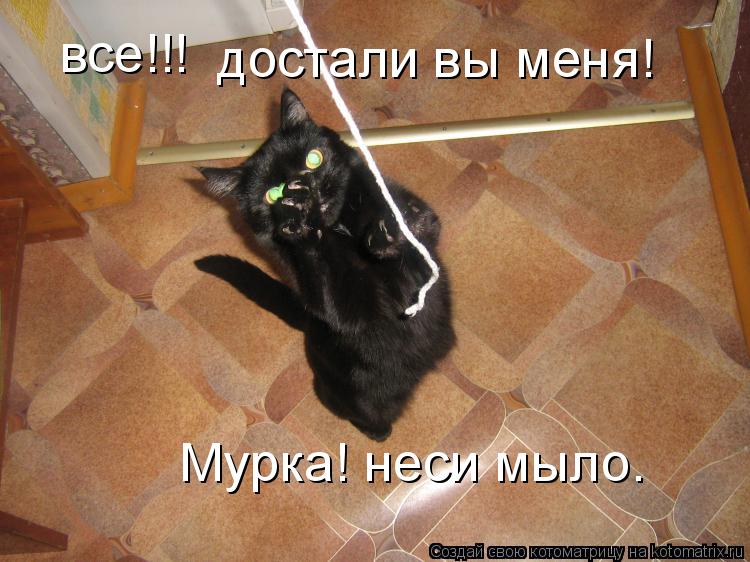 Картинки достала эта работа