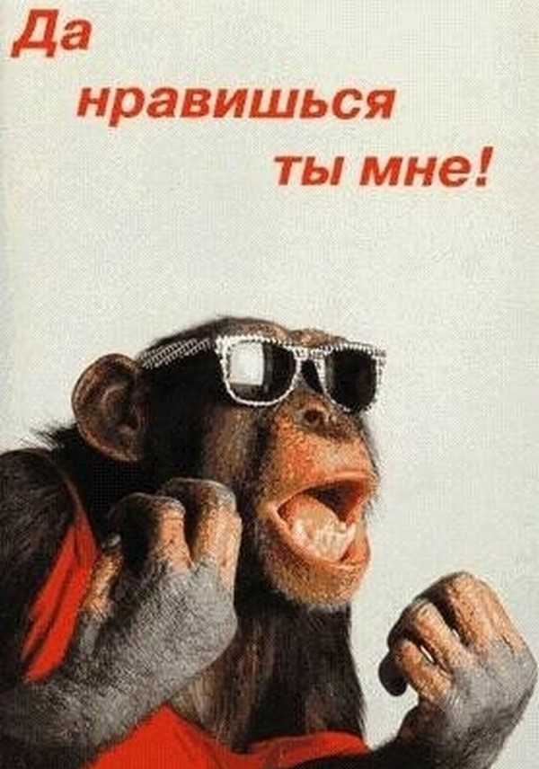 Прикольные картинки на аву для мужчин с юмором