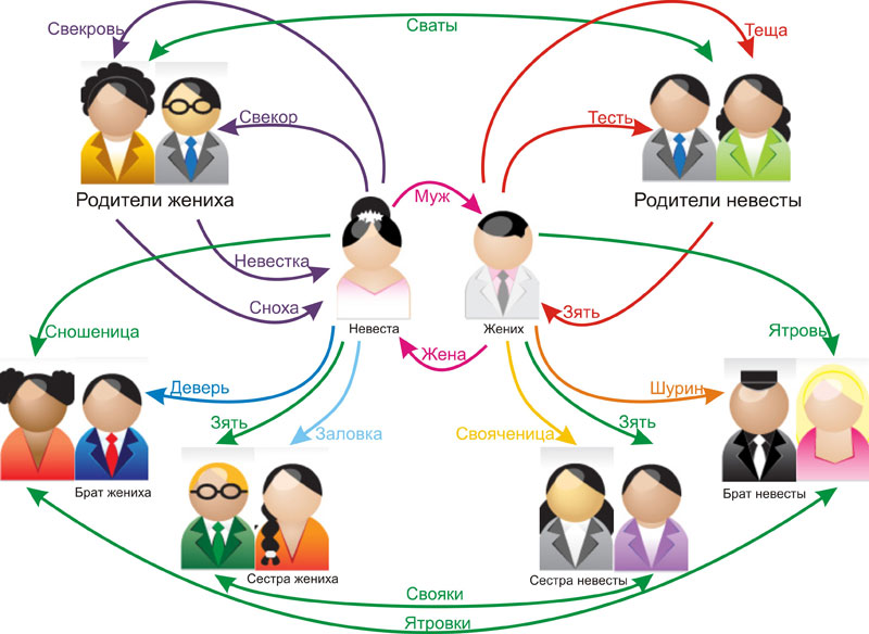 Сноха кто она. Схема семьи Свояк Шурин. Родственные связи названия родственников. Схема родственных связей как называется. Родственнвенные связи.