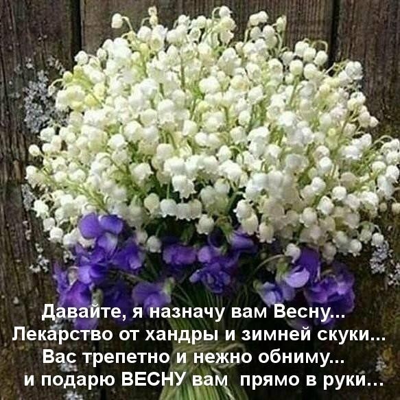Доброе утро ! С первым днем весны !!! - Леди Mail.ru