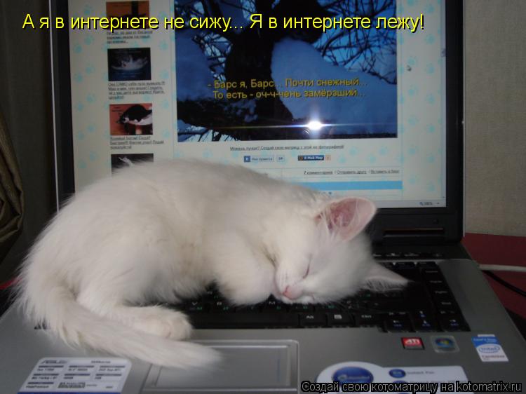 Тоже хочет спать. Лежать в интернете. Открытка выключай комп и спать. Не сидите в интернете.